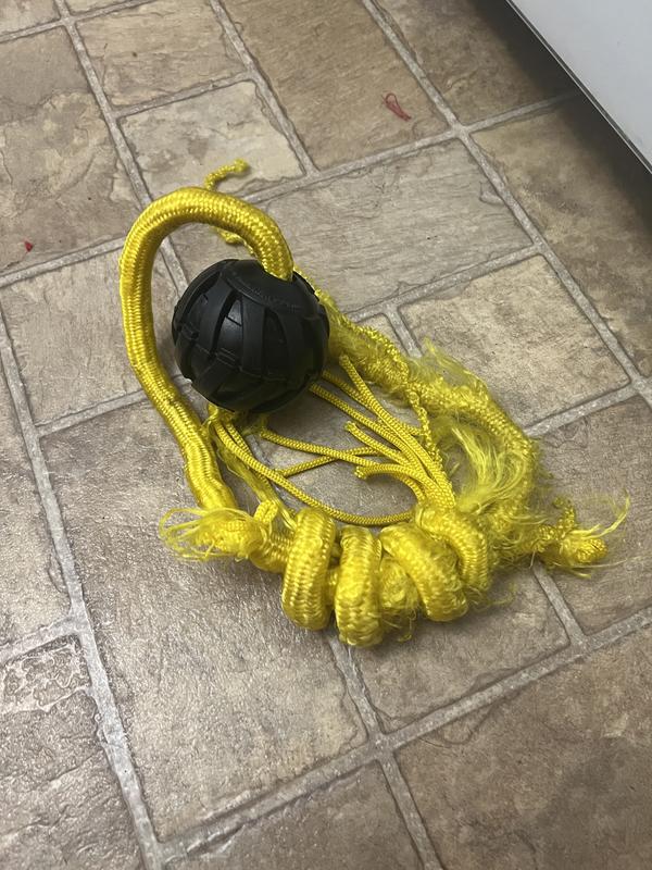 Photo - commentaire 2.