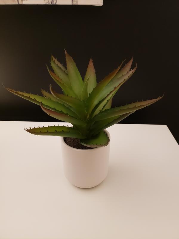 Photo - commentaire&nbsp;1.