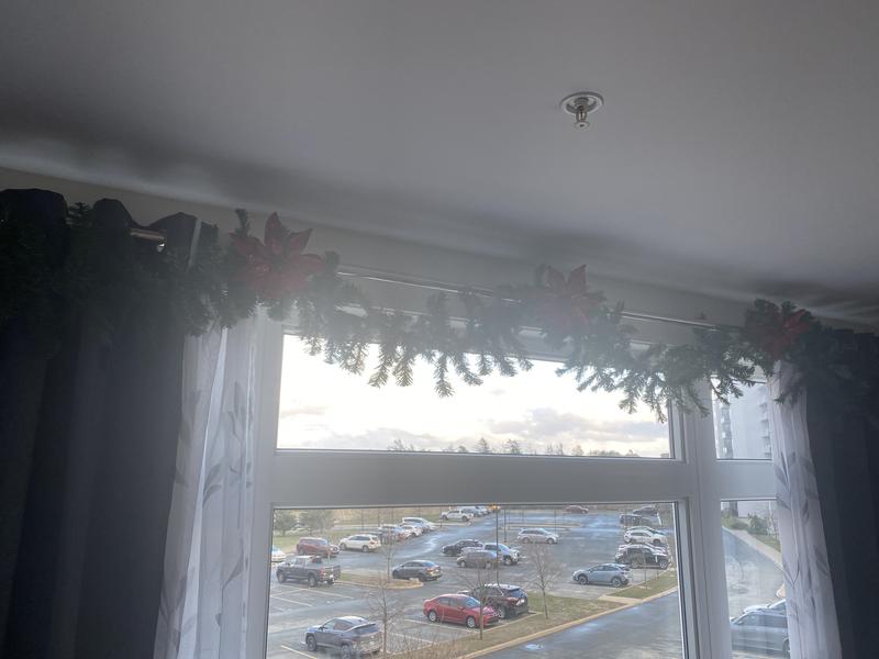 Photo - commentaire&nbsp;2.