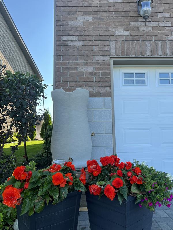 Photo - commentaire&nbsp;3.