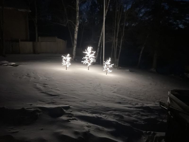 Photo - commentaire&nbsp;2.