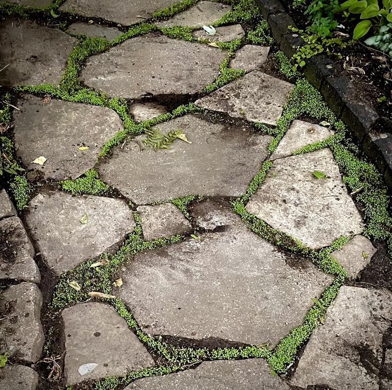 Photo - commentaire 8.