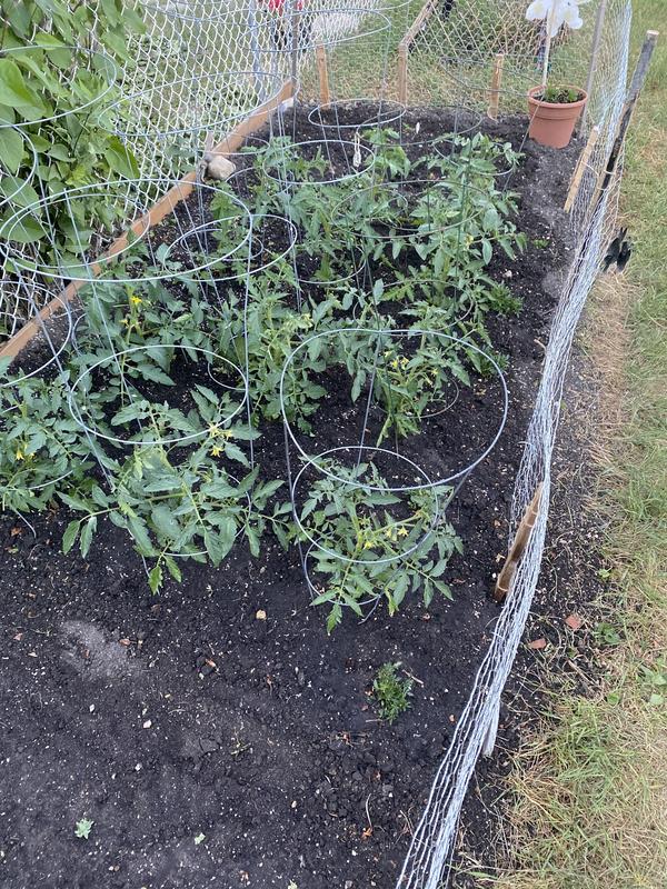 Photo - commentaire 6.