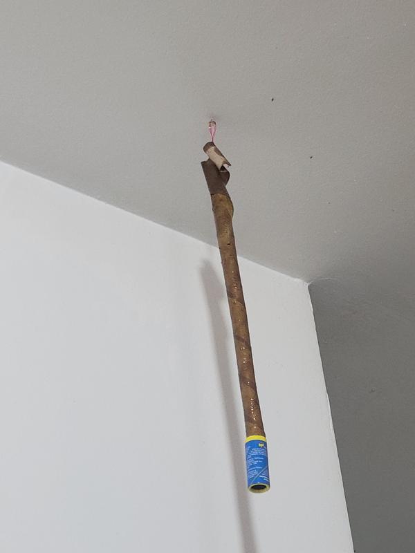 Photo - commentaire 1.