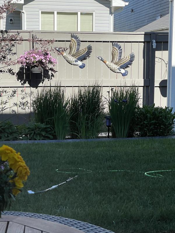 Photo - commentaire&nbsp;4.