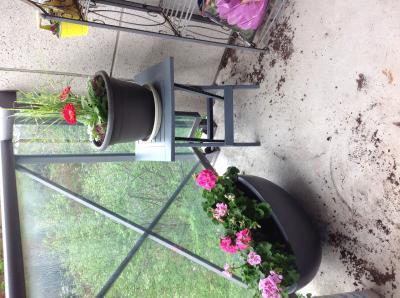 I put plants on them