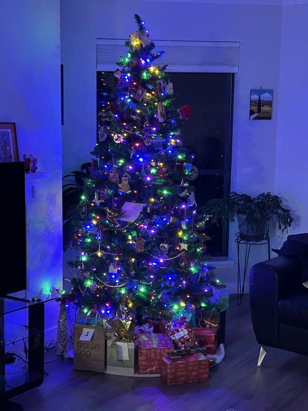 Photo - commentaire&nbsp;1.