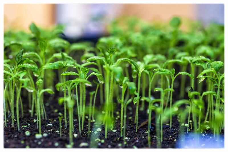 Photo - commentaire 4.