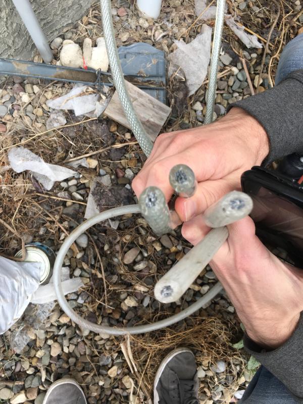 Cable cut, no sign of struggle.