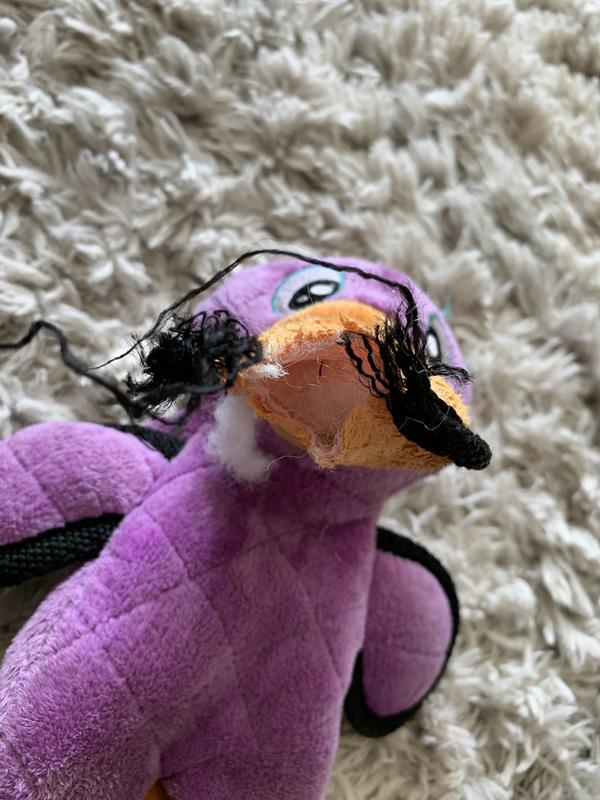 Photo - commentaire&nbsp;6.