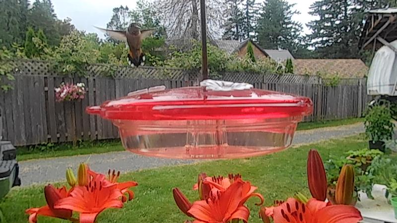 Photo - commentaire&nbsp;1.