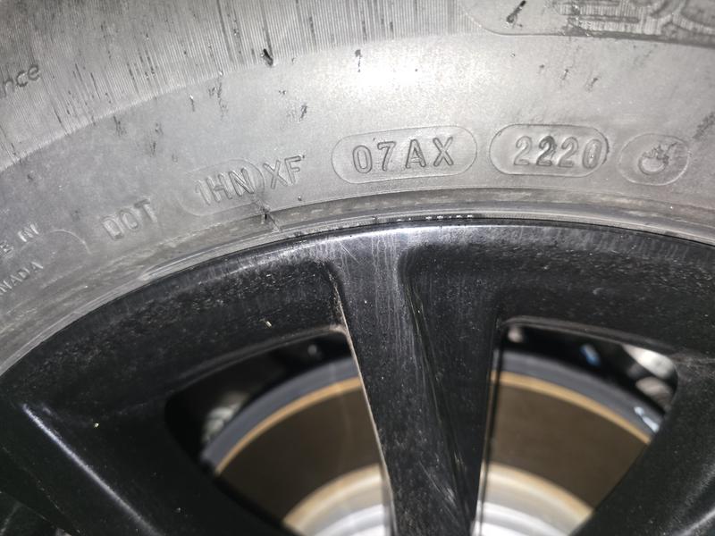 Photo - commentaire 6.