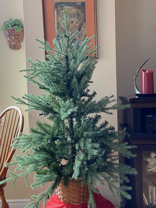 Photo - commentaire 1.