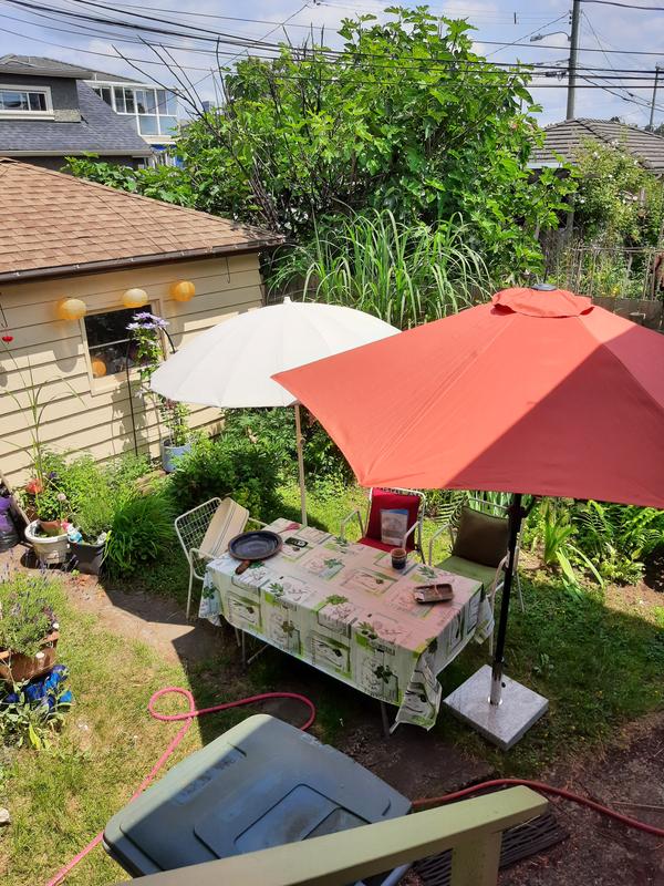 Photo - commentaire&nbsp;1.