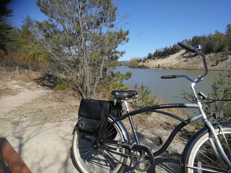 bike bag canadian tire