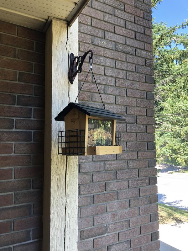 Photo - commentaire&nbsp;4.