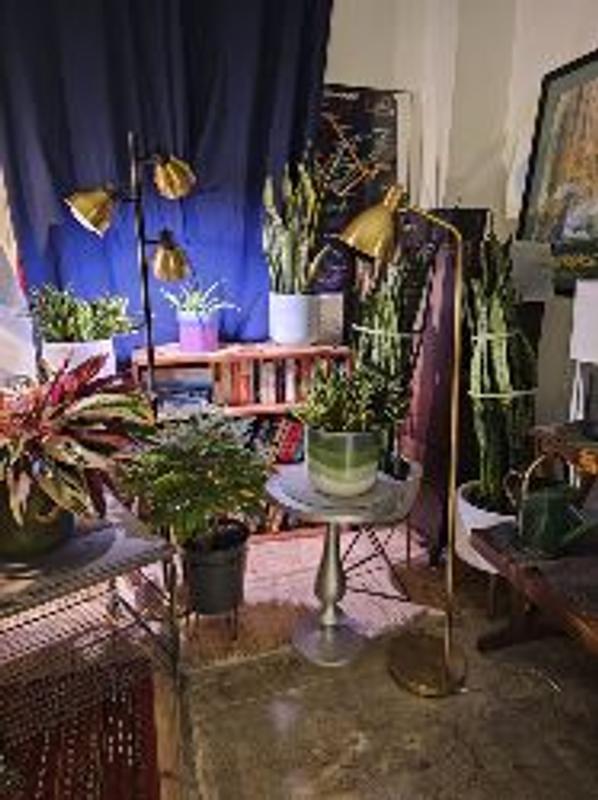 Photo - commentaire&nbsp;1.