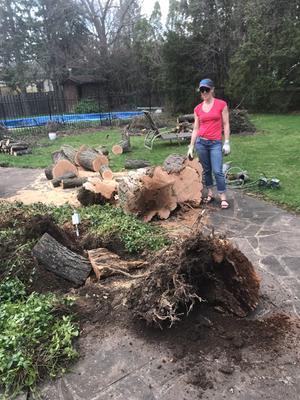 All cut up in a couple of hours