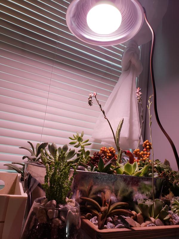 Photo - commentaire&nbsp;3.