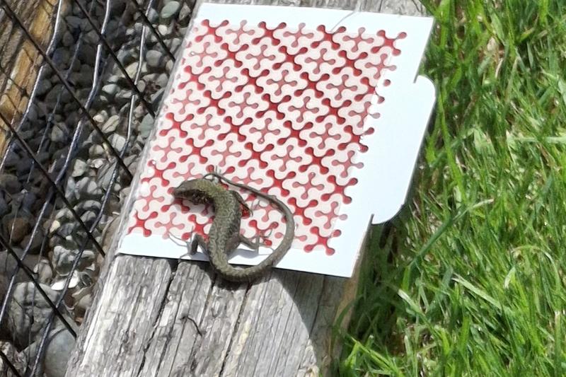 Review photo 2.