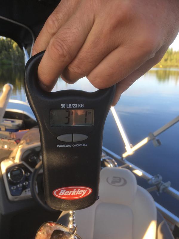 Photo - commentaire&nbsp;1.