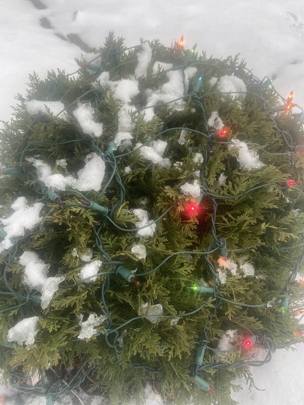 Photo - commentaire 1.