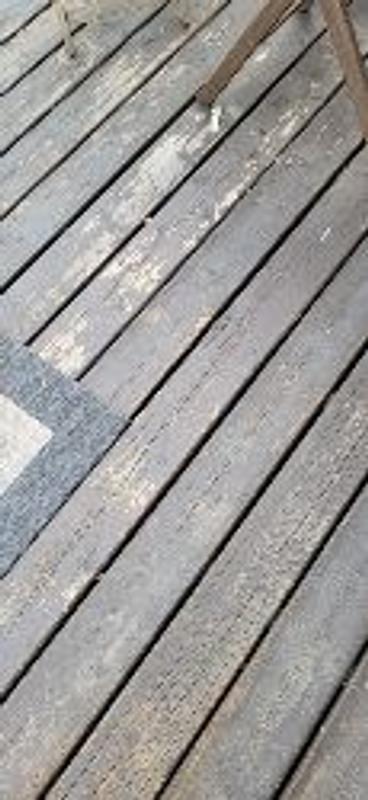 Photo - commentaire 4.