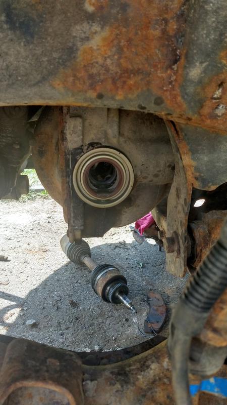 Change axle seal and shaft