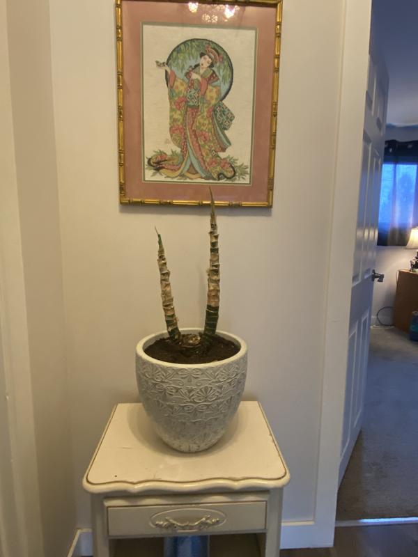 Photo - commentaire 3.