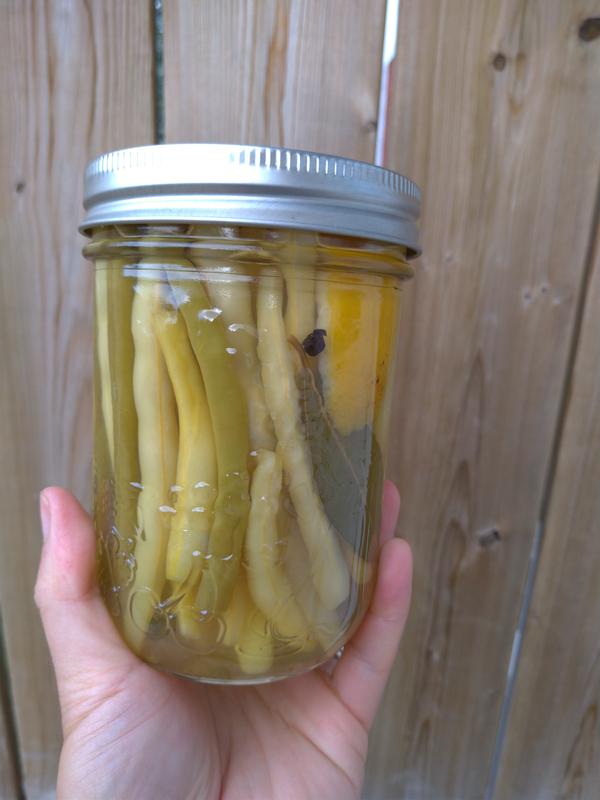 Photo - commentaire 6.