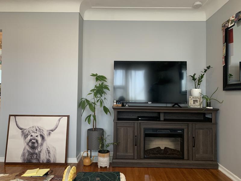 Photo - commentaire 5.