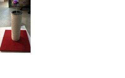 Photo - réponse&nbsp;4.