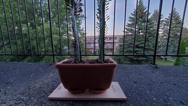 Review photo 2.