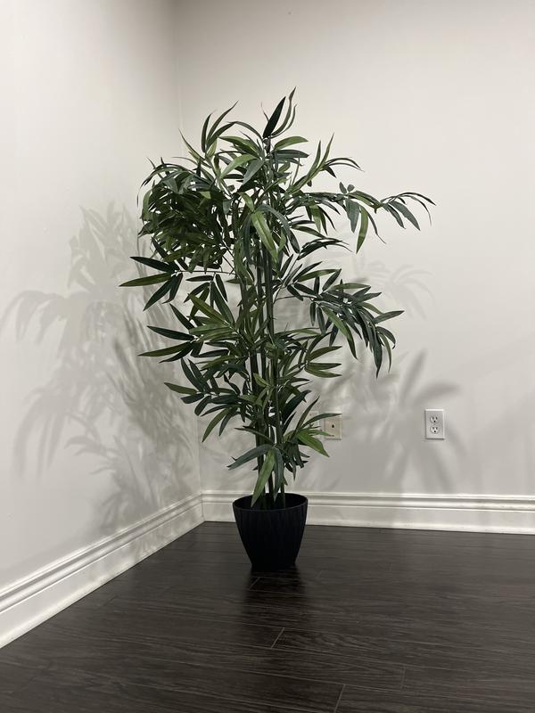 Photo - commentaire 1.