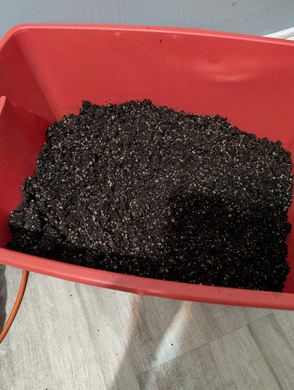 Date of Expiry Dec 2021