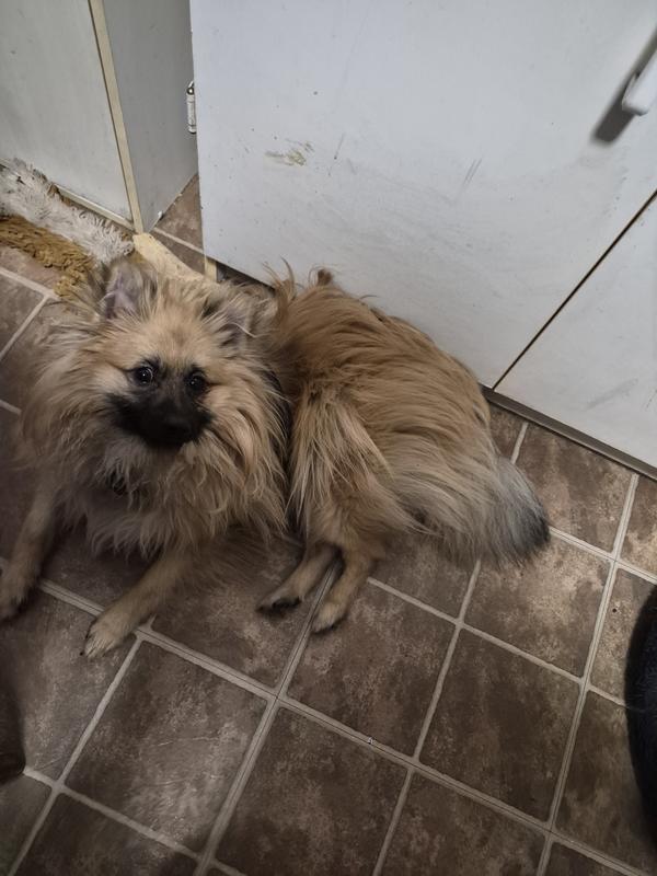 Review photo 2.
