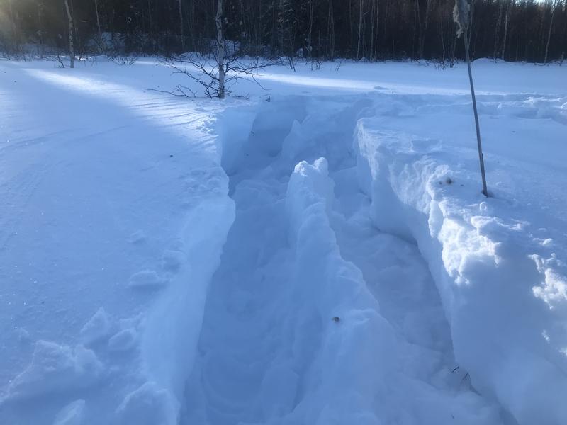 Photo - commentaire&nbsp;8.