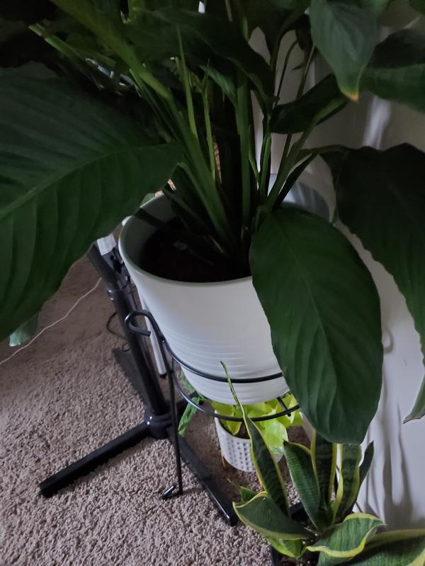 Both very heavy pots with plant