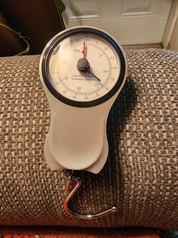 Photo - commentaire 1.