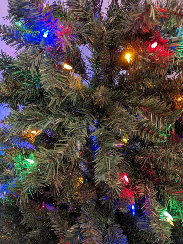 Photo - commentaire 4.