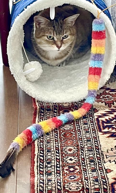 Photo - commentaire&nbsp;1.