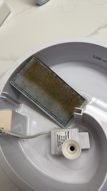 Photo - commentaire&nbsp;1.