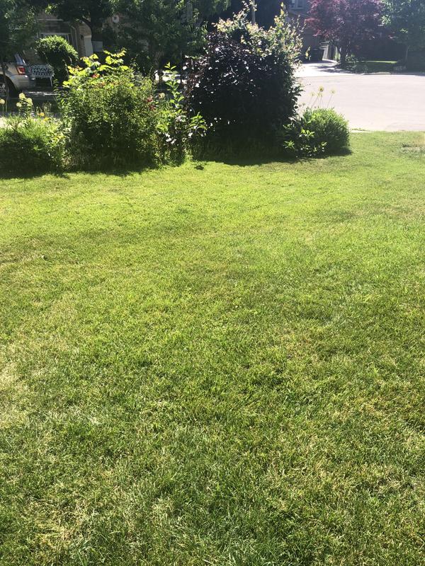 Photo - commentaire 2.