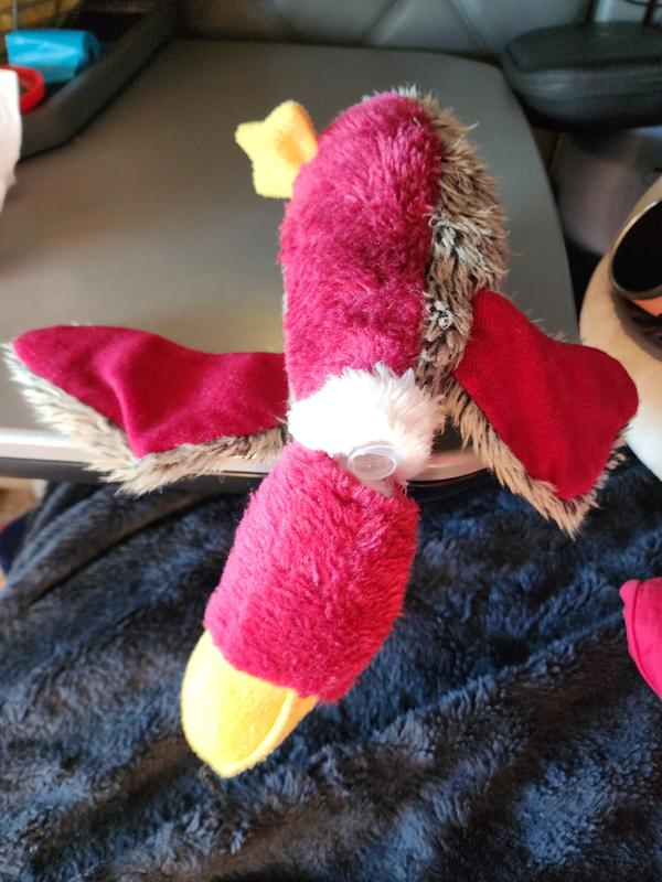 Photo - commentaire&nbsp;3.