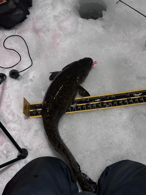 Photo - commentaire&nbsp;4.