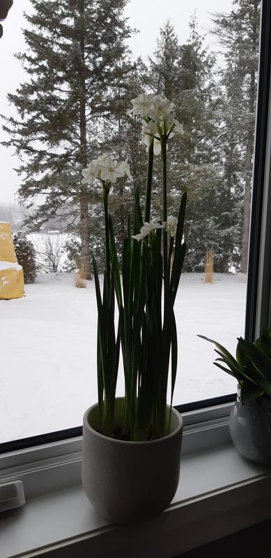 Photo - commentaire&nbsp;2.