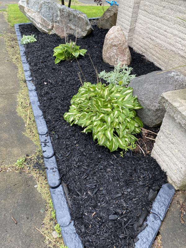 Photo - commentaire&nbsp;8.