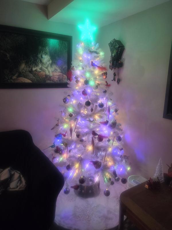 My new star on my tree