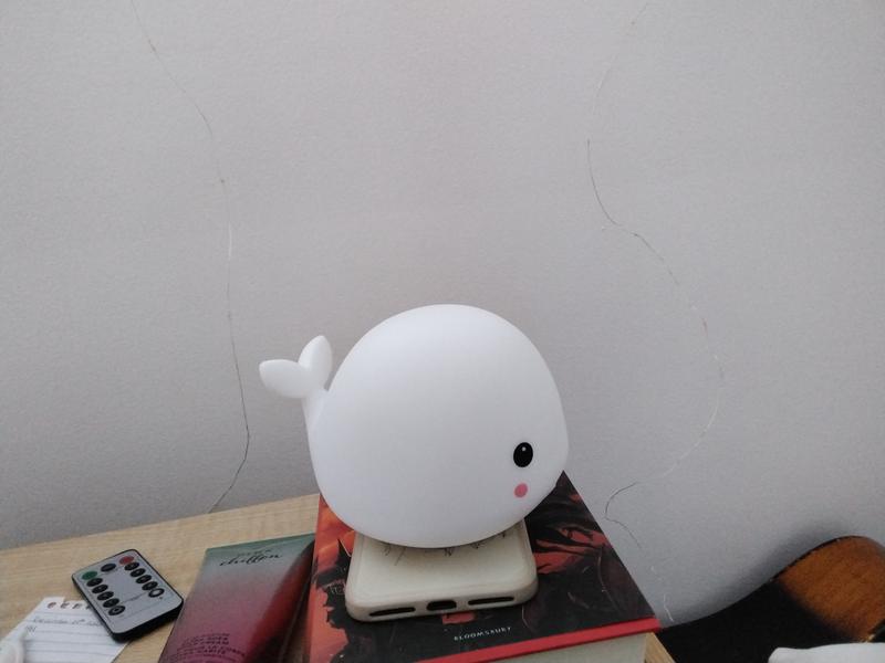 Photo - commentaire 2.