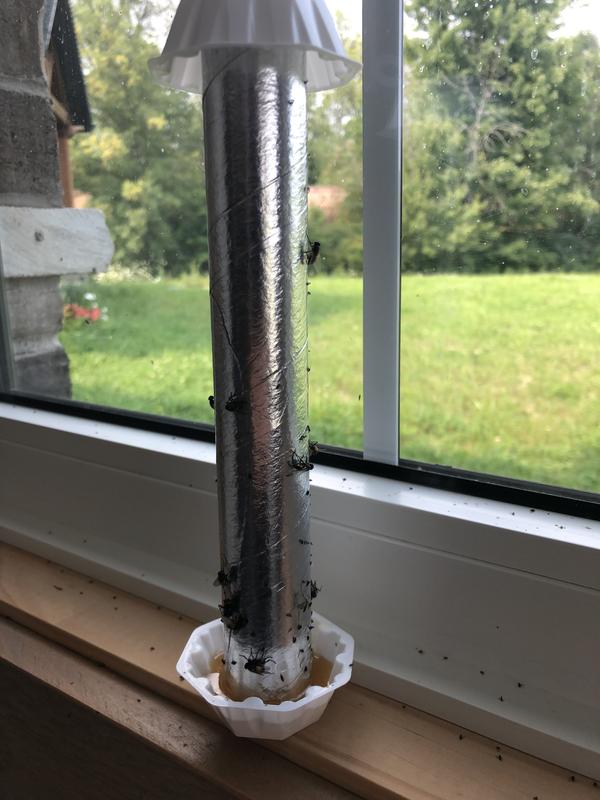 Photo - commentaire 4.